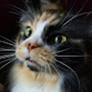 Meet your Posher, Joni time